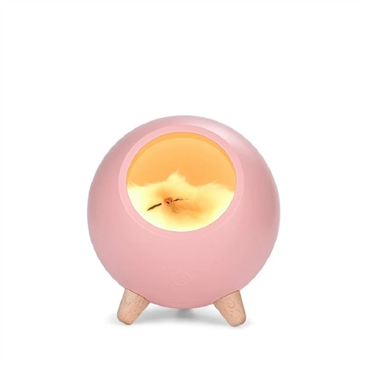 cat light